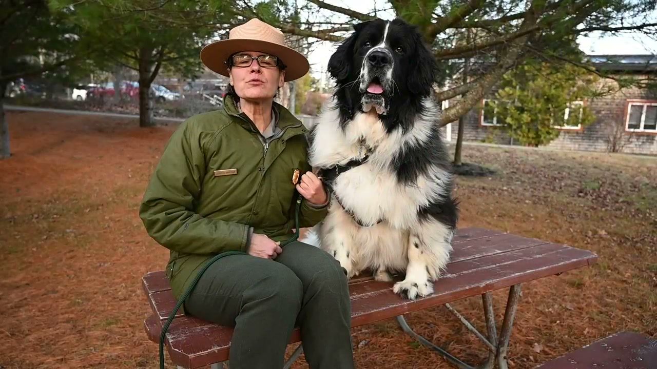 Ranger and leashed Bark Ranger dog