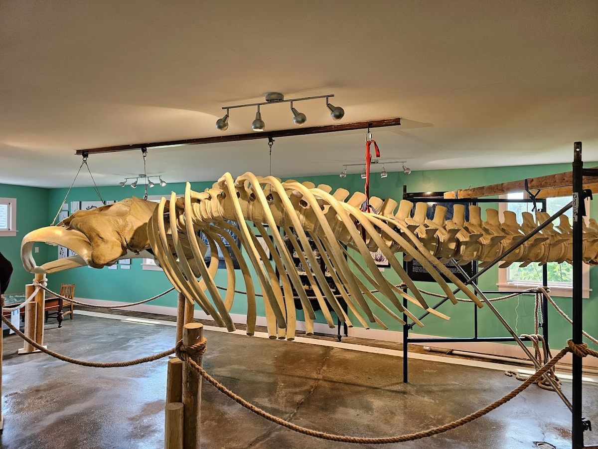 The Oceanarium and Education Center in Bar Harbor, Maine