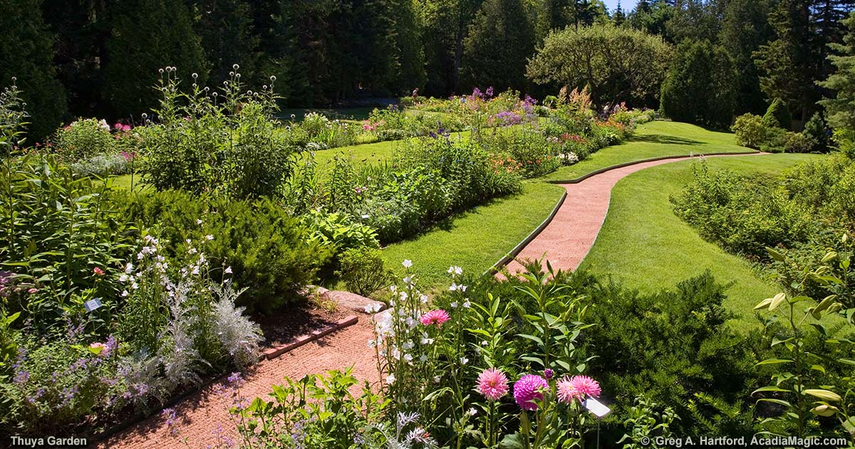 Thuya Garden in Northeast Harbor, Maine