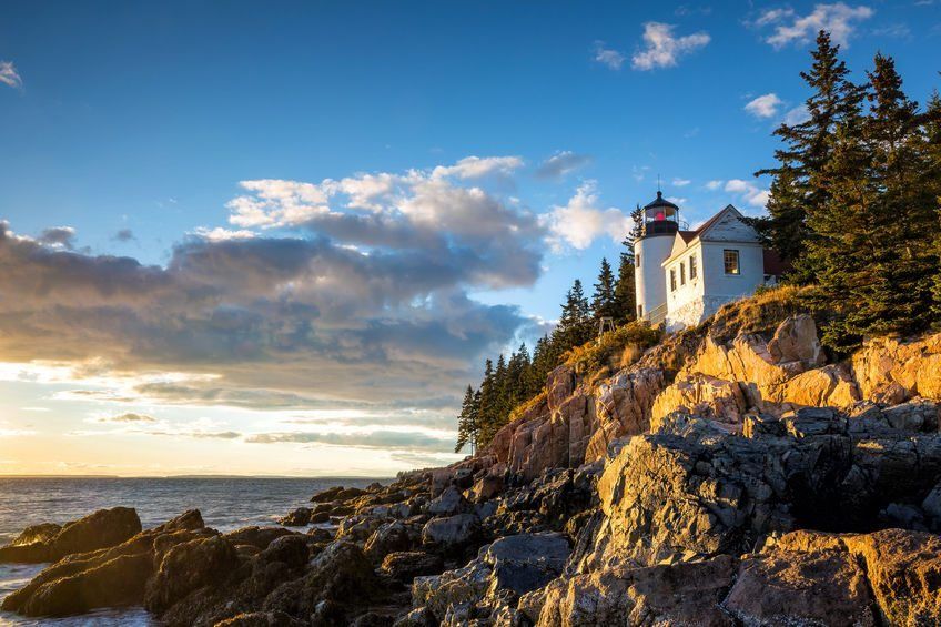 Scenery along Bass Harbor Head Light Path in Acadia National Park