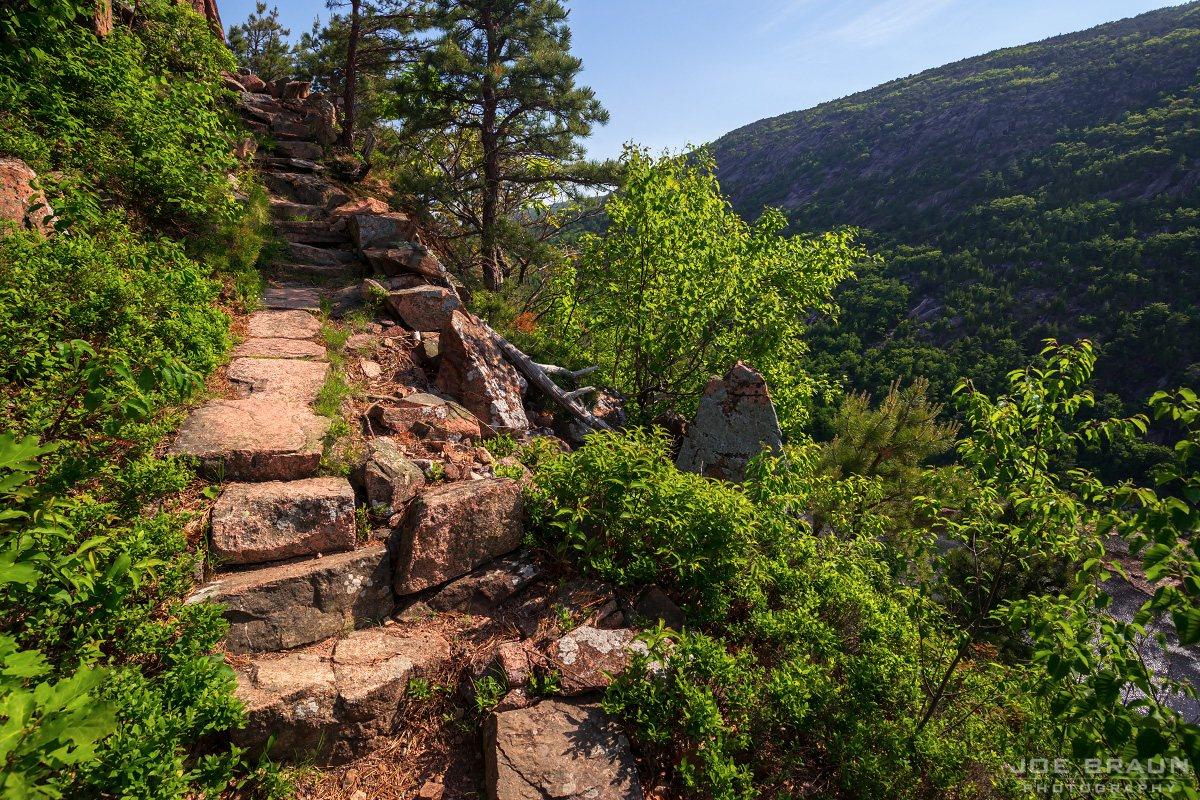 Scenery along Beachcroft Path in Acadia National Park