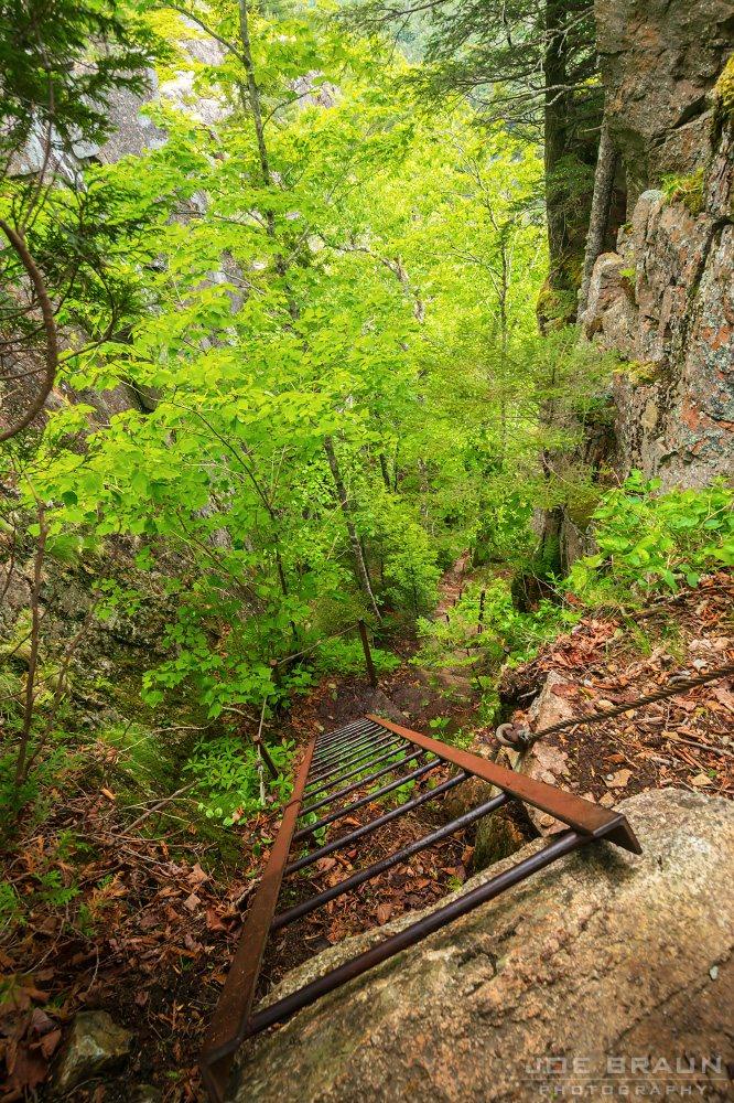 Scenery along Beech Cliff Ladder Trail in Acadia National Park