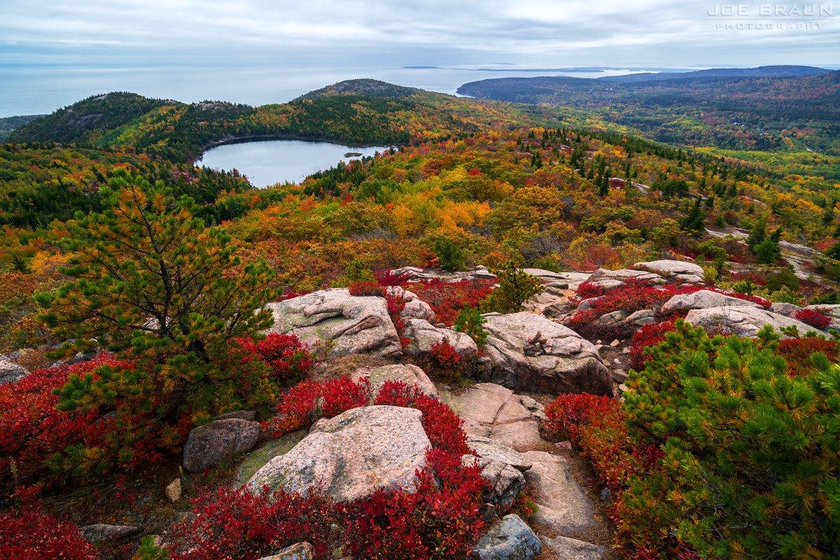 Scenery along Champlain South Ridge in Acadia National Park