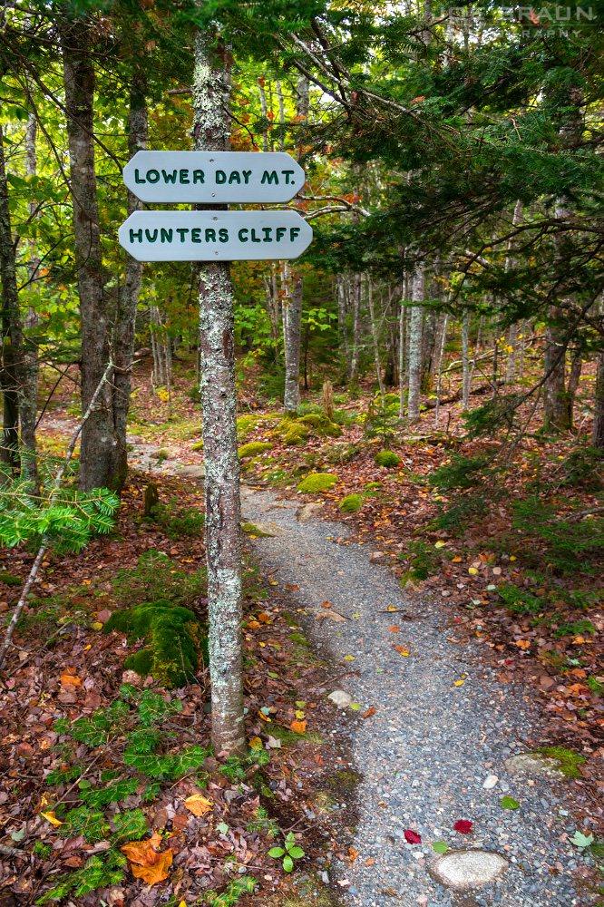 Scenery along Day Mountain Trail in Acadia National Park