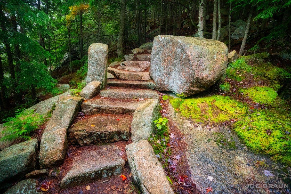 Scenery along Emery Path in Acadia National Park
