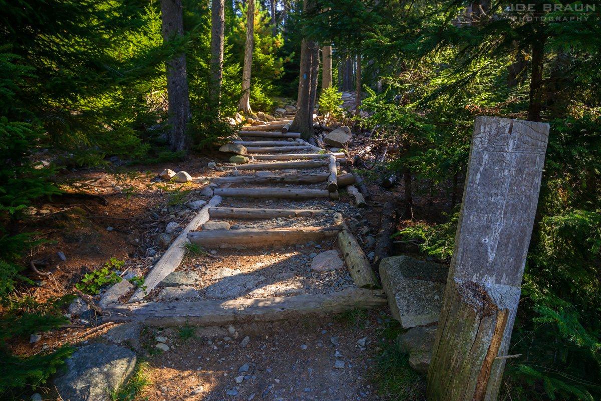 Scenery along Flying Mountain Loop in Acadia National Park