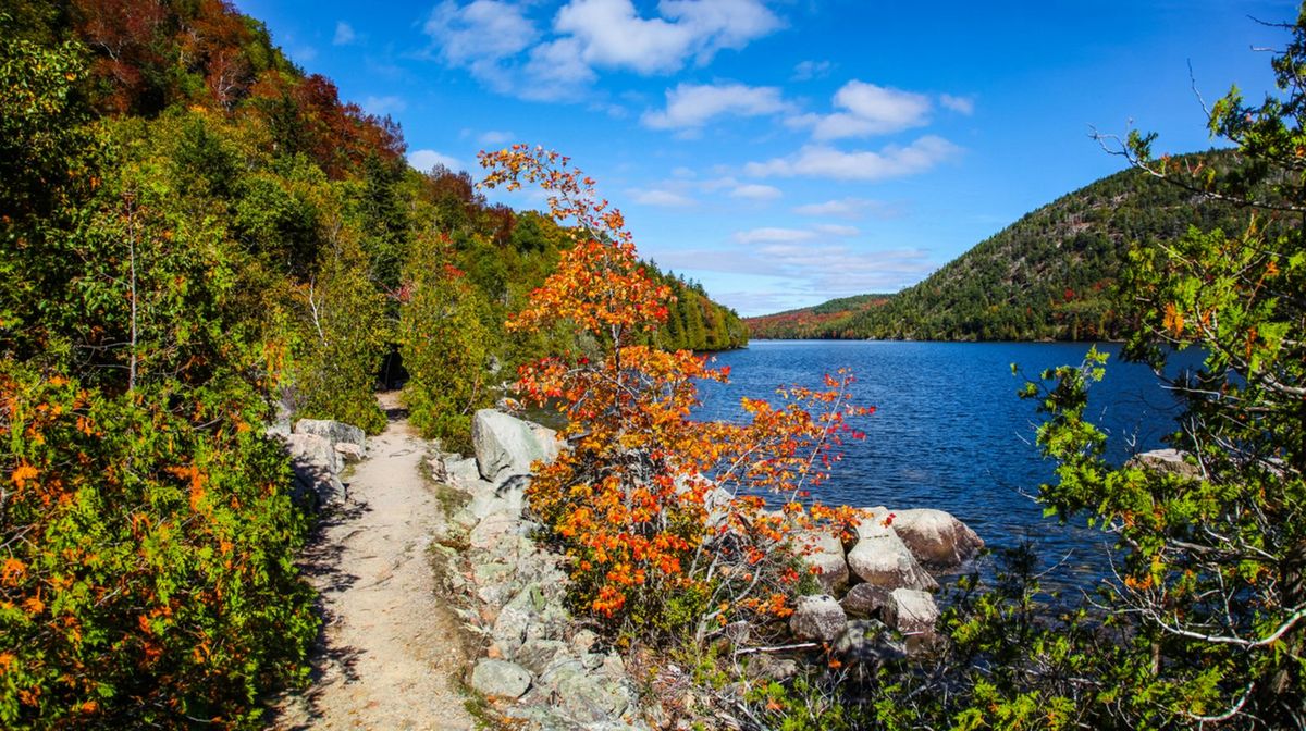 Scenery along Gilley Trail in Acadia National Park