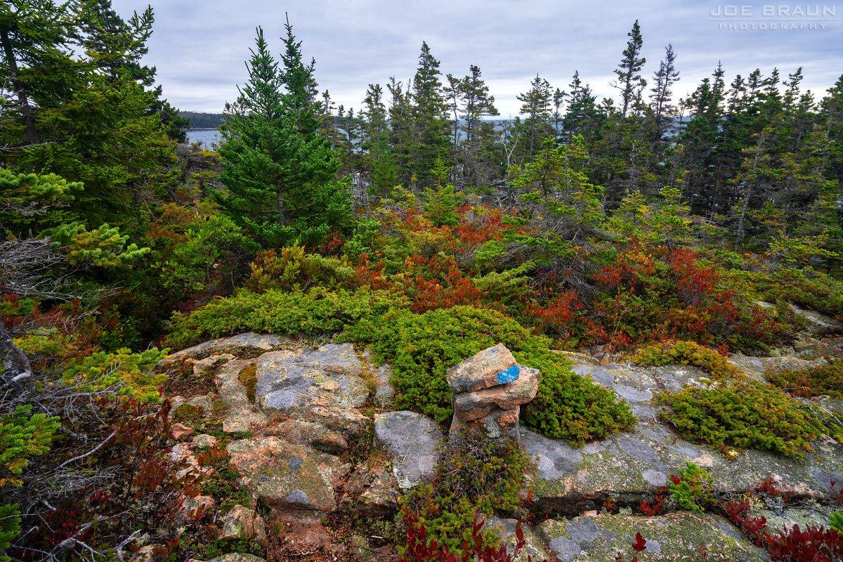 Scenery along Goat Trail in Acadia National Park