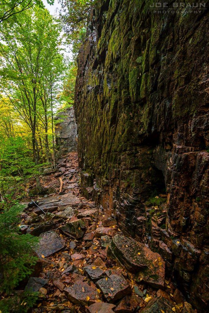 Scenery along Gorge Path in Acadia National Park