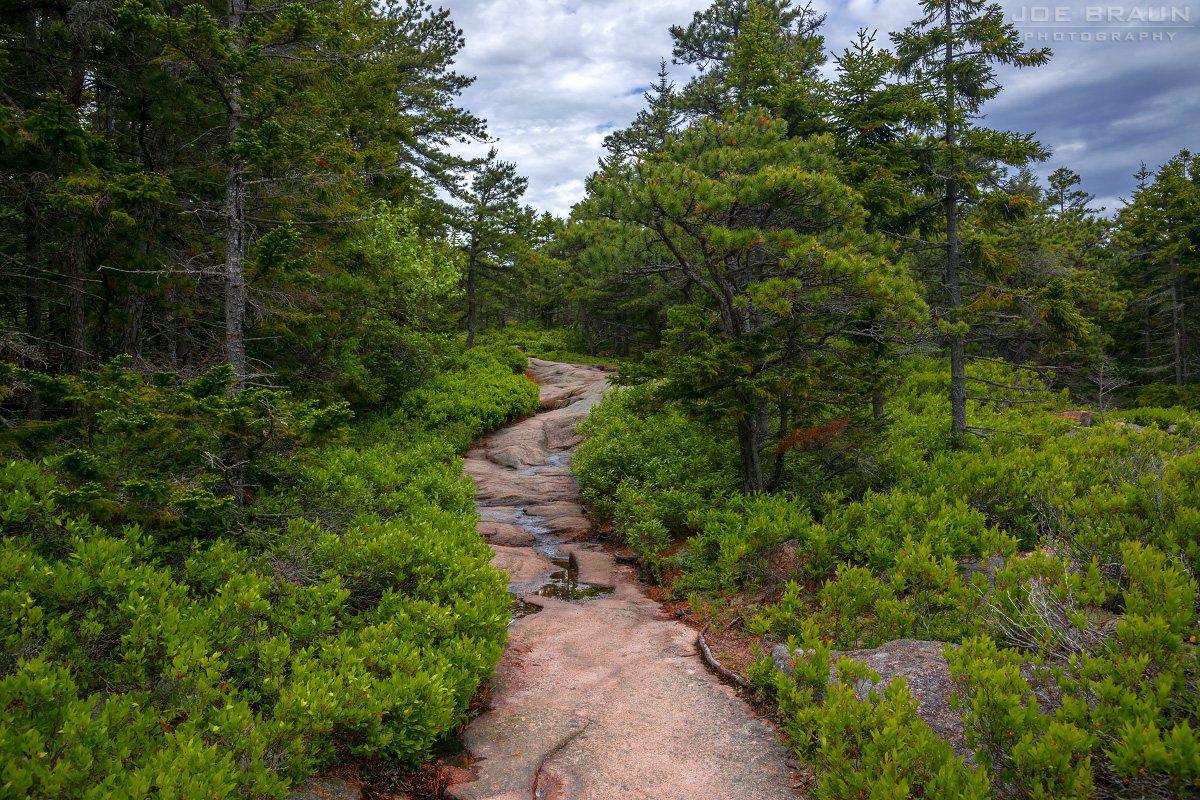 Scenery along Gorham Mountain Loop in Acadia National Park