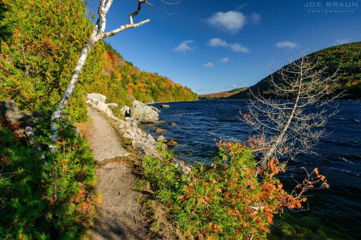 Scenery along Long Pond Trail in Acadia National Park