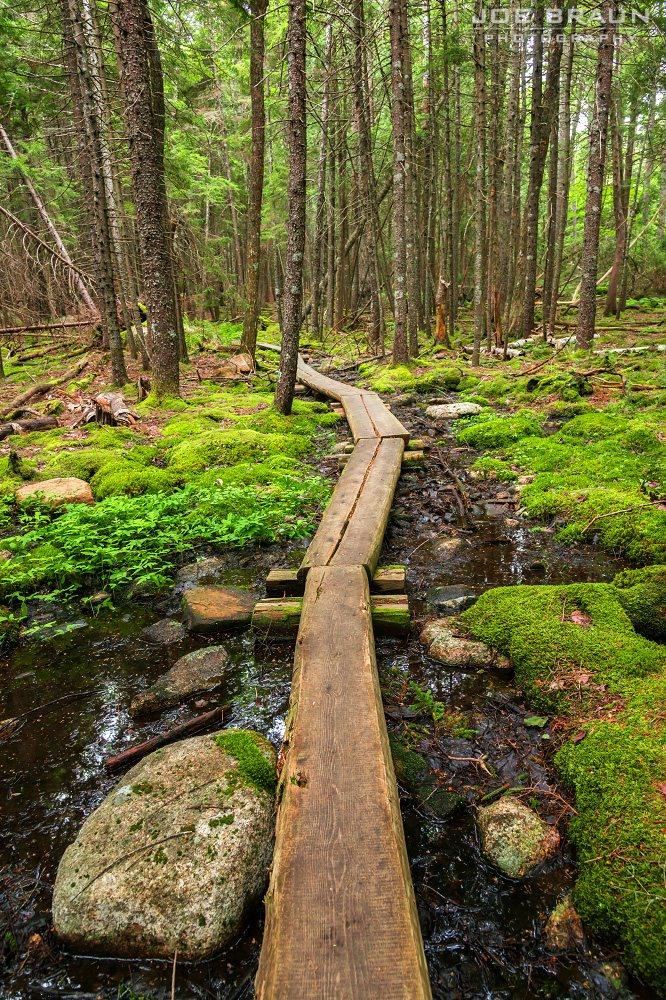 Scenery along North Bubble Loop in Acadia National Park