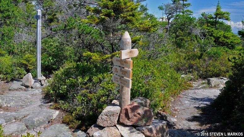 Scenery along Schoodic East Trail in Acadia National Park
