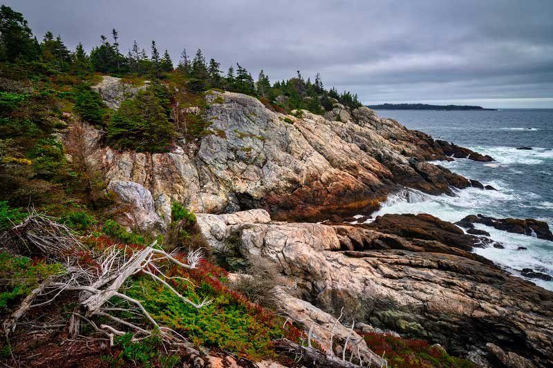 Scenery along Western Head Trail in Acadia National Park